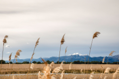 Parc Natural Albufera