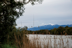 Parc Natural Albufera