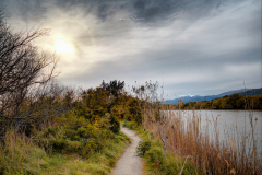 Parc Natural Albufera