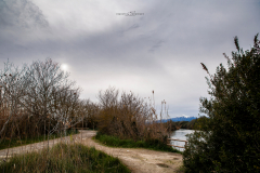 Parc Natural Albufera