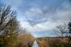 Parc Natural Albufera