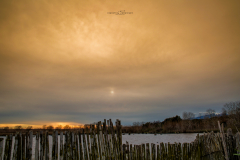 Parc Natural Albufera