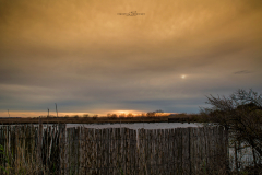Parc Natural Albufera