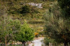 Peninsula de Llevant