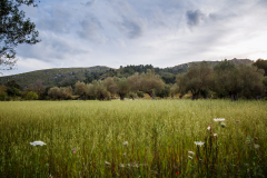 Peninsula de Llevant