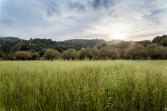 Peninsula de Llevant