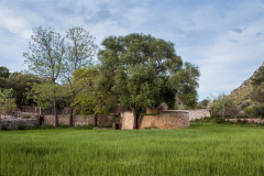 Peninsula de Llevant