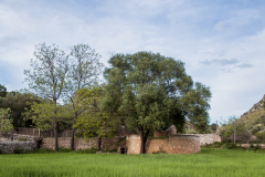 Peninsula de Llevant