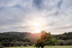 Peninsula de Llevant