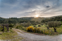 Peninsula de Llevant