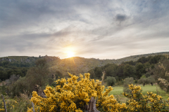 Peninsula de Llevant