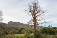 Peninsula de Llevant