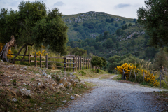 Peninsula de Llevant