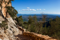 Castell d'Alaró