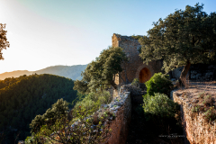 Castell d'Alaró
