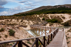 Cala Mesquida, dunas