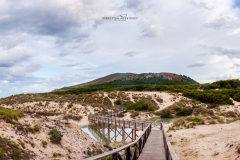 Cala Mesquida, dunas