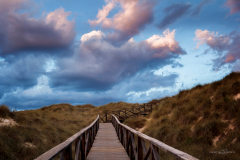Cala Mesquida, dunas