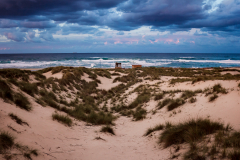 Cala Mesquida, dunas