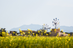 Ses Salines