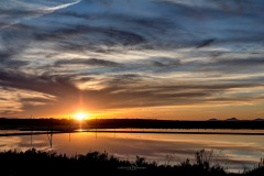Colonia de Sant Jordi