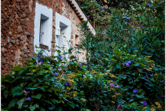 Deià