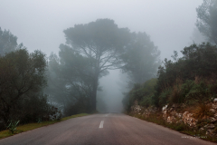 Niebla en Mallorca