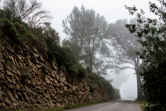Niebla en Mallorca