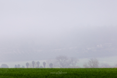 Niebla en Mallorca