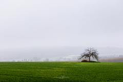 Niebla en Mallorca
