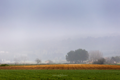 Niebla en Mallorca