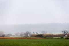 Niebla en Mallorca