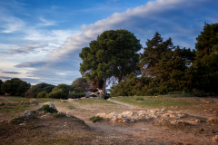 Sa Coma - Punta de N'Amer