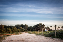 Sa Coma - Punta de N'Amer