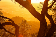 San Salvador (Felanitx)